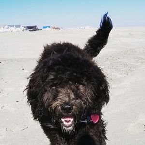 Meet your Posher, Nick